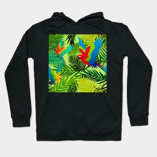 Tropical Parrot Pattern Hoodie